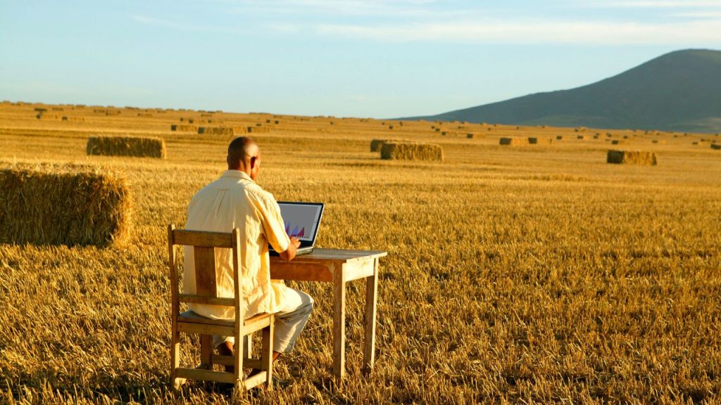 peluang bisnis online di pedesaan