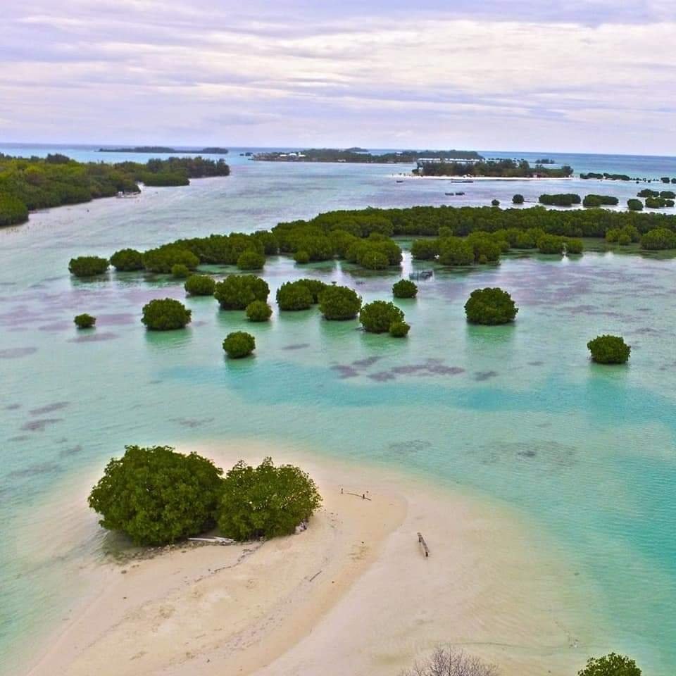 pulau perawan
