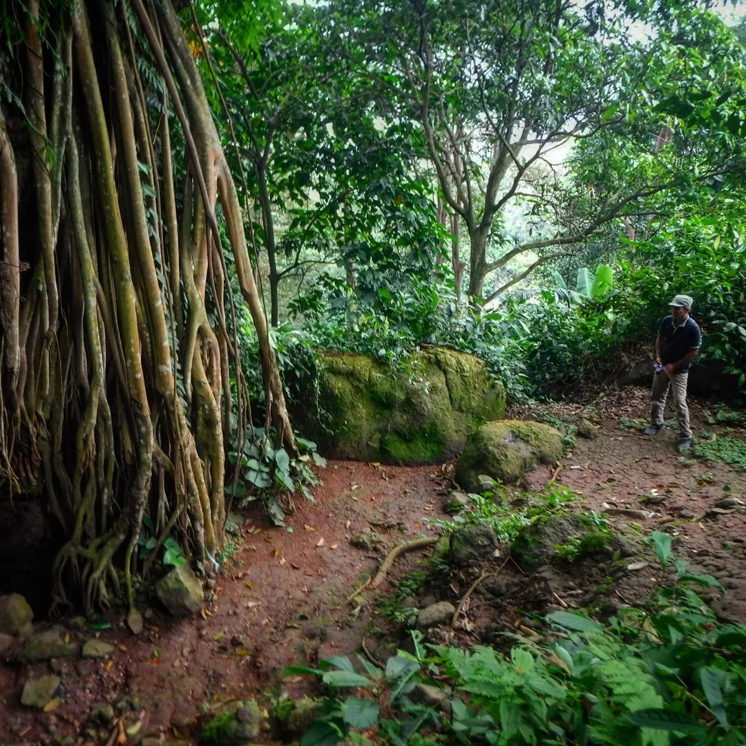 Mendaki Gunung Munara Menggapai Puncak Yang Menawan