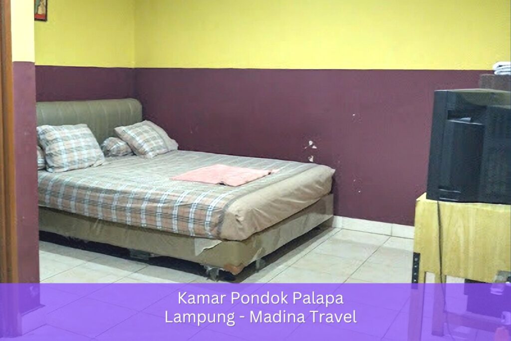 Fakta Pondok Palapa Bandar Lampung 3 kamar pondok kelapa