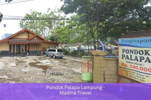 pondok palapa Lampung