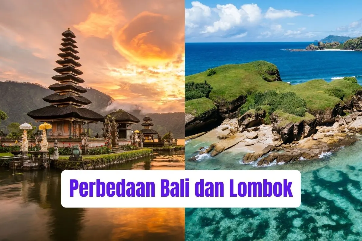 Perbedaan Bali dan Lombok