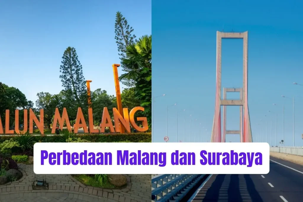 Perbedaan Malang dan Surabaya