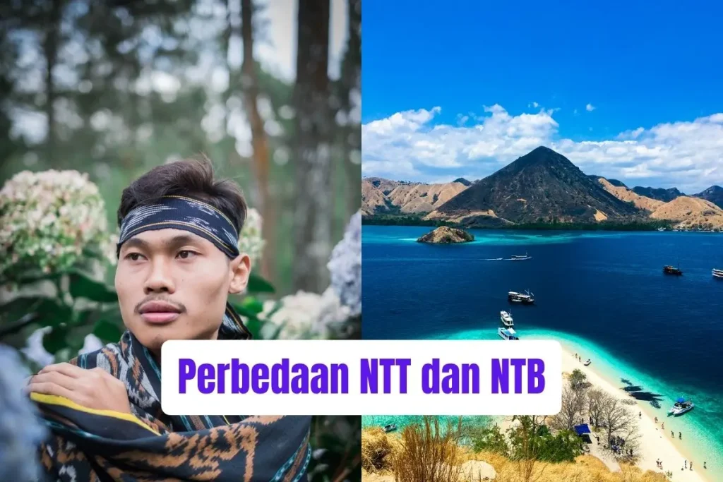 Perbedaan NTT dan NTB