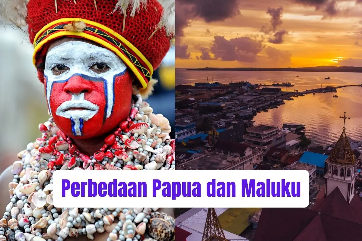 Perbedaan Papua dan Maluku