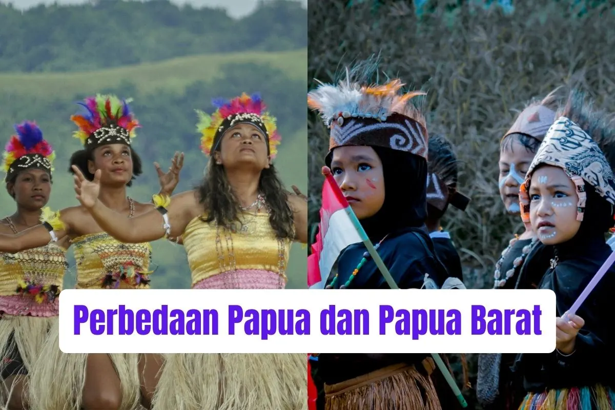 Perbedaan Papua dan Papua Barat